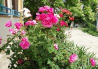 img-20200613-wa0032